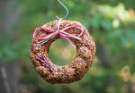 Flaming Hot Feast Bird Seed Wreath hanging with a green background. 