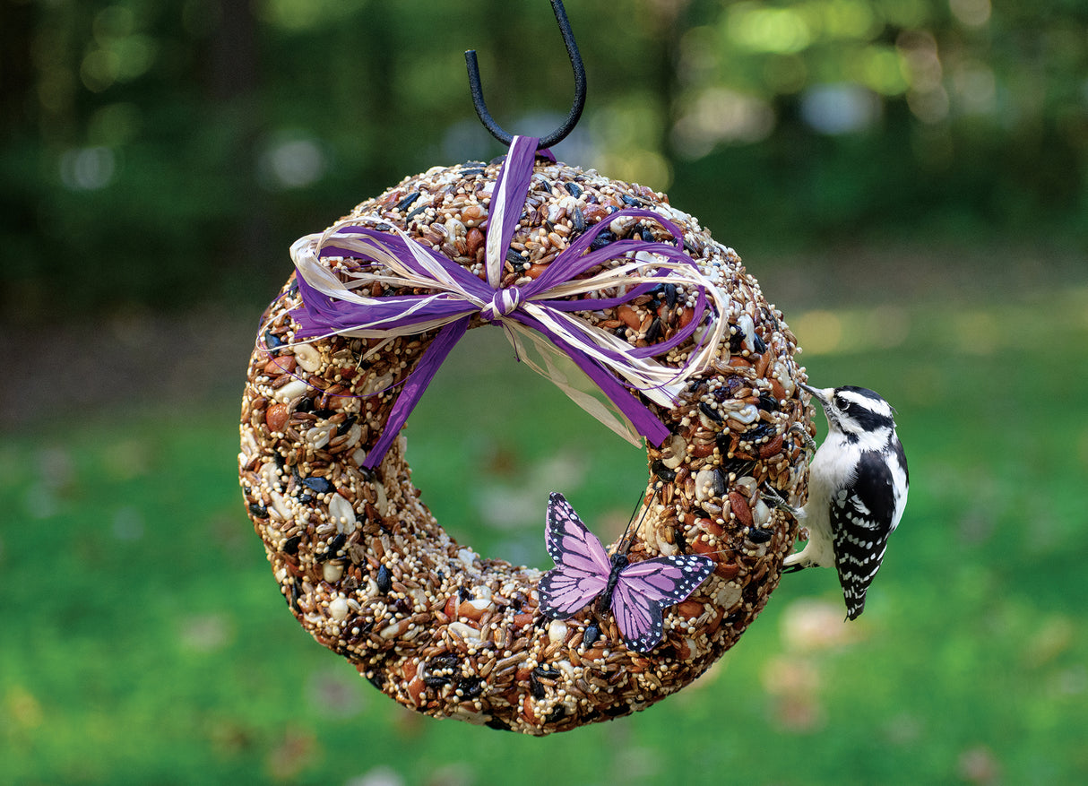 Bird Seed wreath with a bird eating bird seed and a green backyard. 