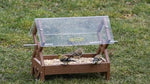 4910 Double Diamond Platform Feeder at duncraft.com