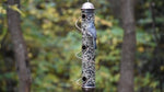 Copper Spiral Sunflower Seed Feeder