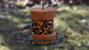 Hot Pepper Stak'em Feeder Set