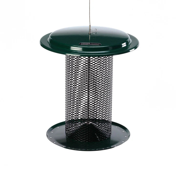 3 Qt. Metal Safflower Feeder, Green, with mesh top and spacious clinging area for birds, features a weather guard and easy-to-fill design.