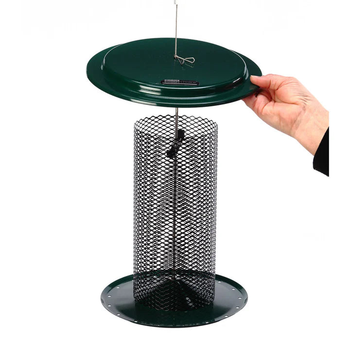 3 Qt. Metal Safflower Feeder with wire mesh lid, offering ample clinging space for birds. Features mesh design for seed flow and weather guard for protection.