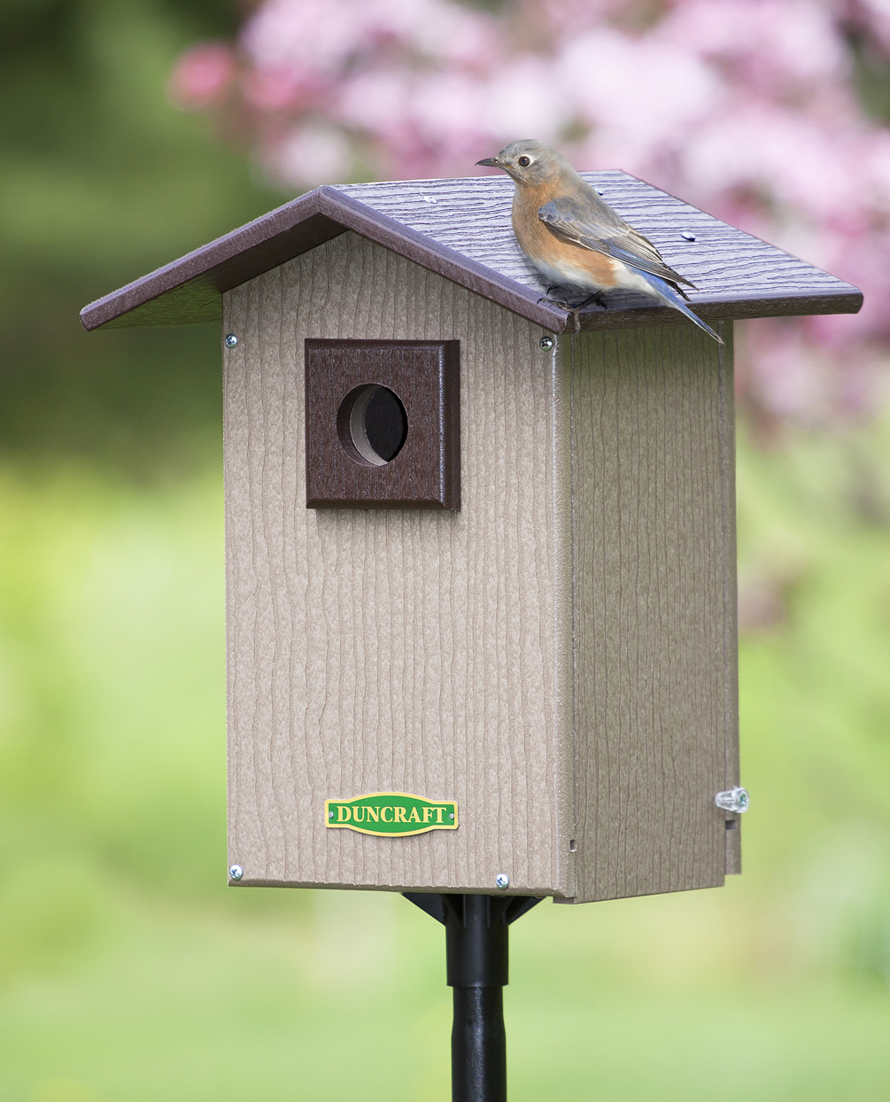 Bird Safe Premium Bluebird House And Pole