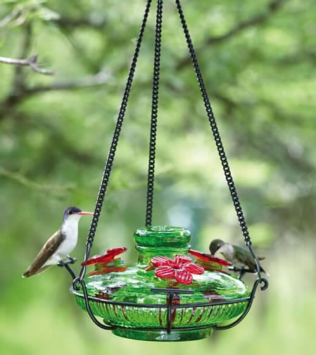 Bird Buddy Perch With Built in Hummingbird Feeder 