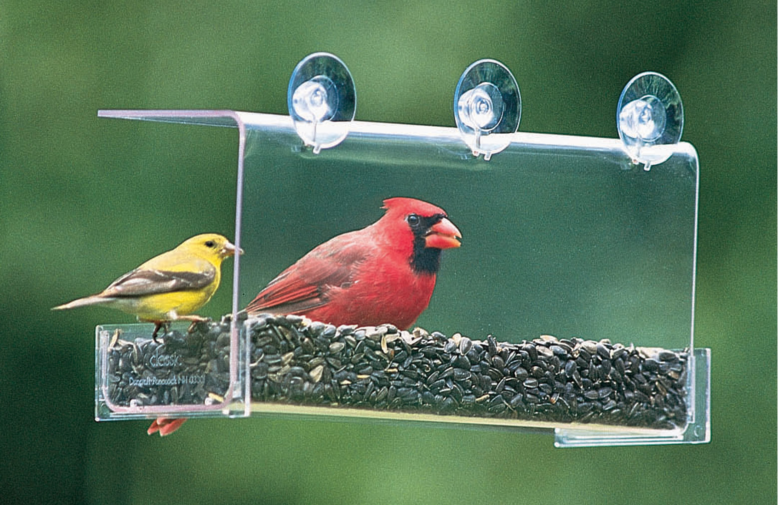  Duncraft 742 Cardinal Classic Window Bird Feeder