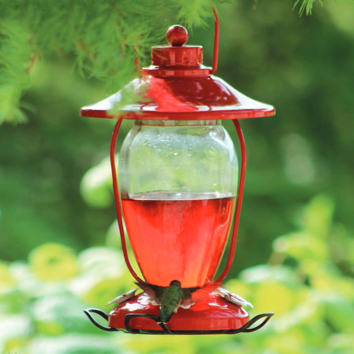 diy hummingbird feeder from old lantern