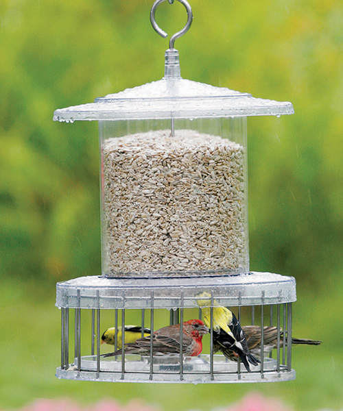 All Weather Feeder with Wire Cage