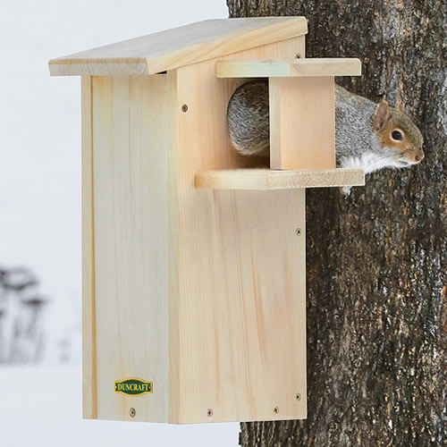 Duncraft Squirrel House with Predator Guard