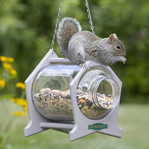 Duncraft Hanging Squirrel Jar Feeder