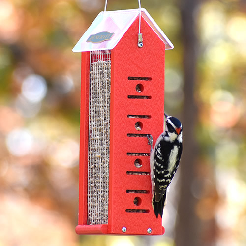 Duncraft Four Sided Woodpecker Feeder
