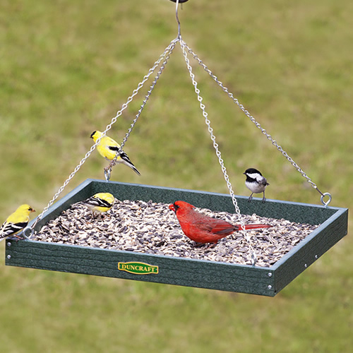 Duncraft XL Hanging Platform Bird Feeder