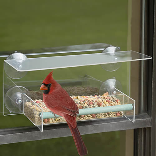 Duncraft Bird-Safe® Window Wonder Feeder
