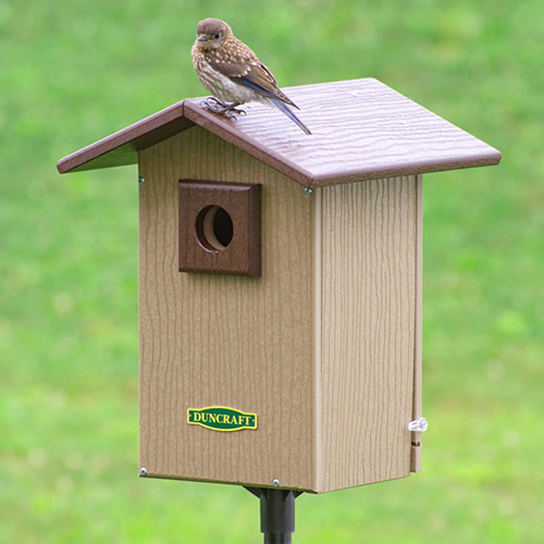 Duncraft Bird-Safe® Premium Observation Bluebird House & Pole