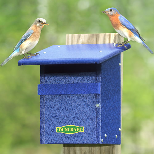 Duncraft Eco-Friendly Bluebird & Tree Swallow House