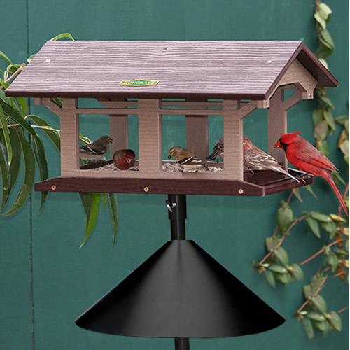 Duncraft Covered Bridge Feeder with Pole, Twister & Baffle