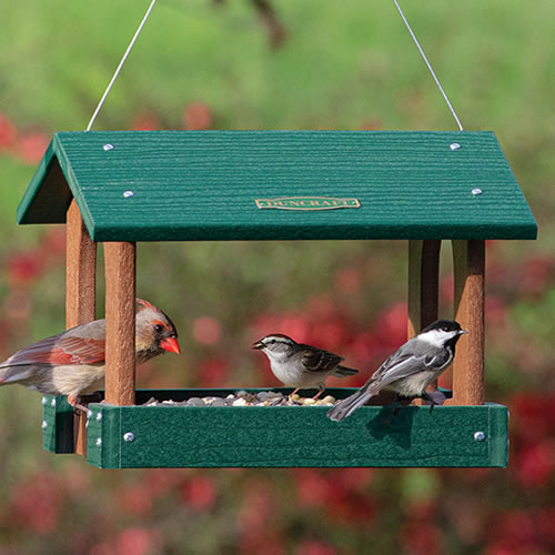 Duncraft Bird-Safe® Arch Platform Feeder