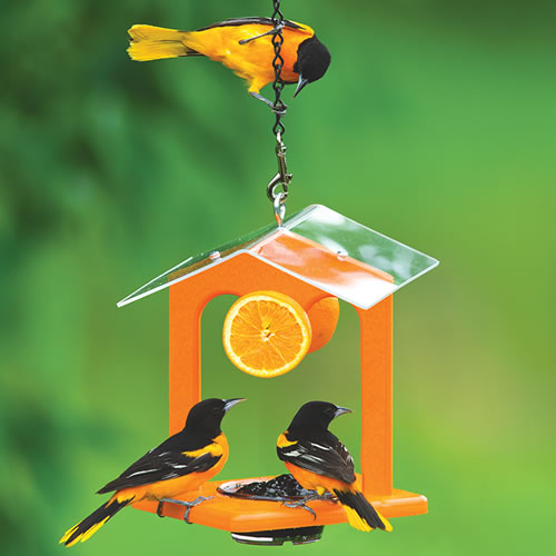 Duncraft Ultimate Oriole Jelly Feeder