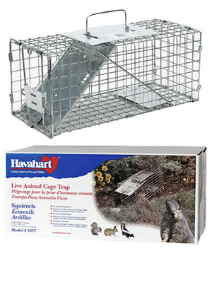 Havahart Small 1-Door Live Animal Trap