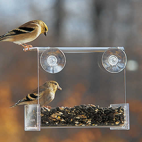 Duncraft Songbird Buffet Window Bird Feeder