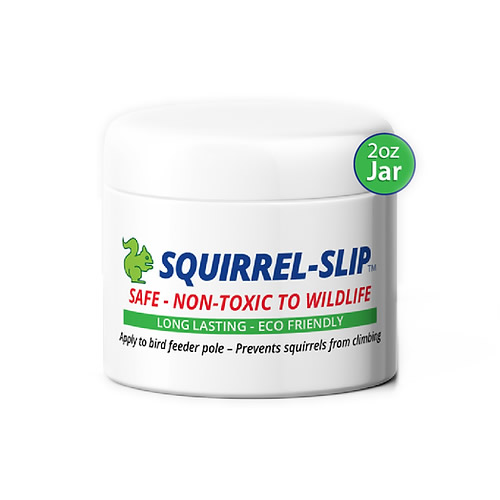 Squirrel-Slip Jar, 2 oz.