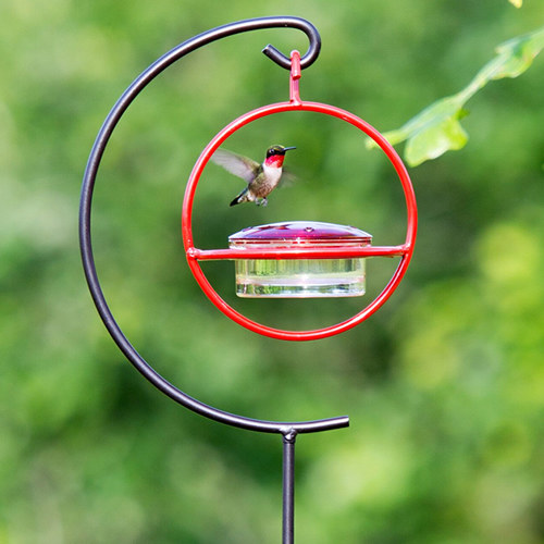 Hummble Garden Stake & Hummingbird Feeder