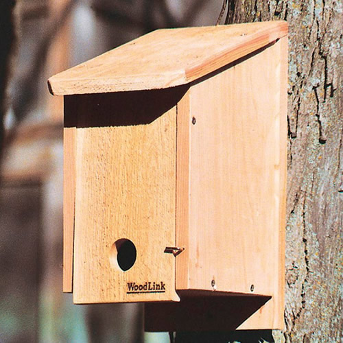 Cedar Winter Roosting Box