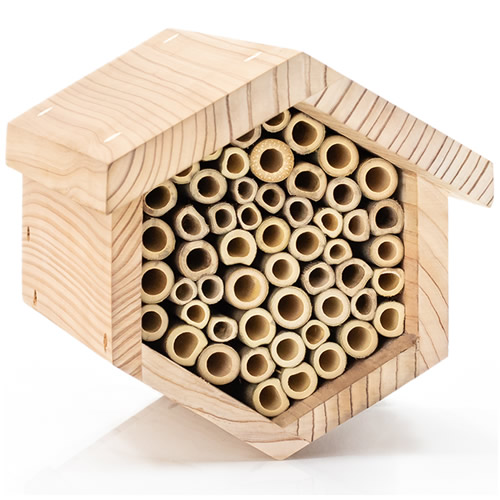 Bee House, Bamboo Tubes