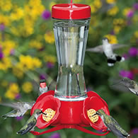 All Glass Hummingbird Feeders