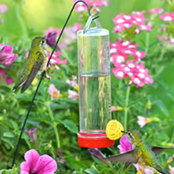 Planter Box Hummingbird Feeder