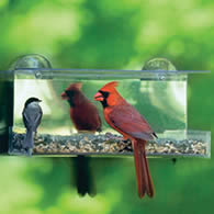 Duncraft Cardinal Mirrored Feeder