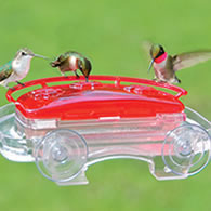 Aspects Jewel Box Hummingbird Feeder