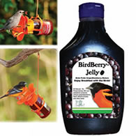 BirdBerry Jelly