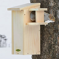 Duncraft Squirrel House with Predator Guard