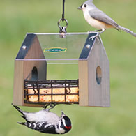 Duncraft Sheltered Stained Suet Feeder