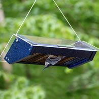 Duncraft Eco-Strong Double Upside Down Suet Feeder