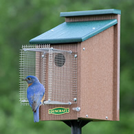 Duncraft Bluebird House with Pole & Noel Guard