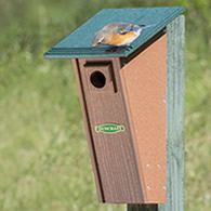 Duncraft Bird-Safe® Peterson Eco Bluebird House