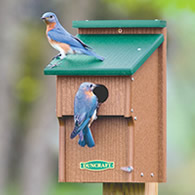 Duncraft Bluebird Double Guarded House