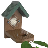 Duncraft Hummingbird House Nester