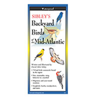 Sibley’s Backyard Birds of the Mid-Atlantic