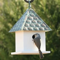 Bird House Bungalow with Shingled Verdigris Roof