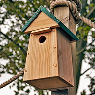 Carolina Nest Box