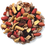 Cole's Nutberry Suet Blend Wild Bird Seed, 5-lb bag