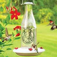 Milkhouse 24 Ounce Glass Hummingbird Feeder