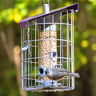 The Nuttery Roundhaus Seed Feeder, Aubergine