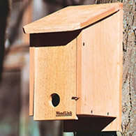 Cedar Winter Roosting Box