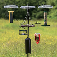 Squirrel-Proof Bird Feeding Station with Tilt Top Baffles & Quick Connect Branches
